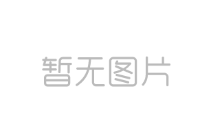 山東重工機關黨委組織開展“黨員樹先鋒·點亮生態綠”植樹活動